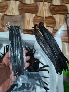 Vaniglia House Tetebatu