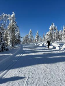 Lomahuoneisto Virpiniemi