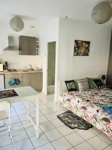 Appartements Great apartment with free parking in St Etienne : Appartement 1 Chambre