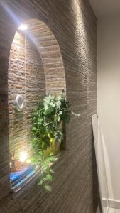 Arturos House Centro II