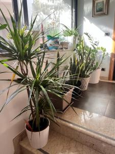 "La casa di Luna city center Catania"