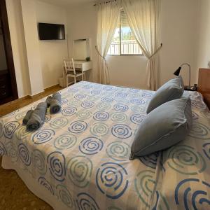 Preciosa en GANDIA a 5 min del centro histórico