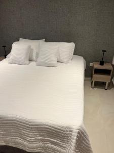 Manglar - Ciudad Mallorquin