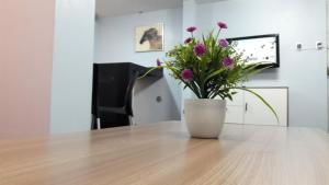 Cozy & Modern apartment in Arequipa!!