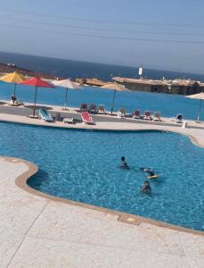 Porto Island Family only