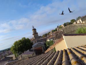 Maisons de vacances Les toits d-Eyguieres : photos des chambres