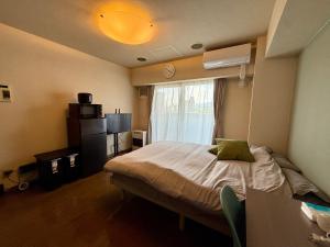 7-3美室 豊平川目の前 札幌中心から地下鉄2駅の眺望良好の部屋