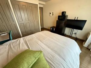 7-3美室 豊平川目の前 札幌中心から地下鉄2駅の眺望良好の部屋