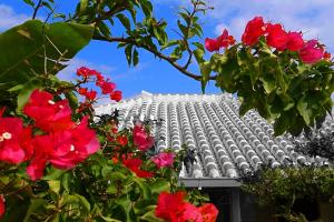 Beach Front Nago Okinawa ビーチフロント名護沖縄
