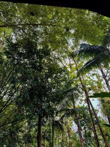 Hanging Rustic Cabin with Balcony and terrace #4
