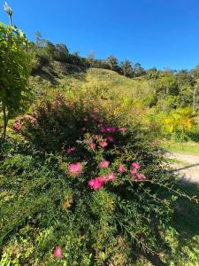 Villa Toca da Toca Lumiar