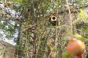 Casa no Renascença próxima Praias e Centro Histórico