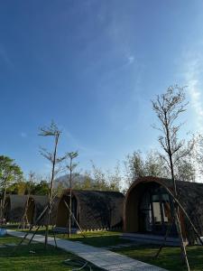 Mermaid Homestay Tây Ninh