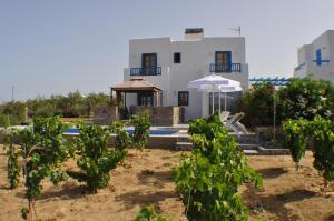 Ariadne House Naxos Greece