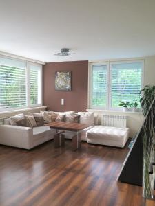 Apartman Grüne Oase Nahe Schönbrunn Bécs Ausztria