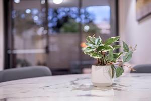 Stylish Homebush 1BR Plus Study with Pool Access