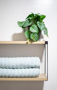 Cozy & Homey 3-Bedroom