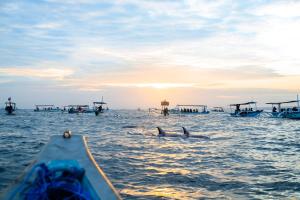 Lovina Beach Club & Resort