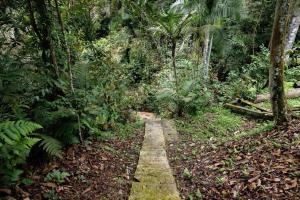 LilyJoe Treehouse Serendah