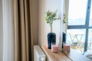 Charming and Cozy 1-Bedroom Explore the City