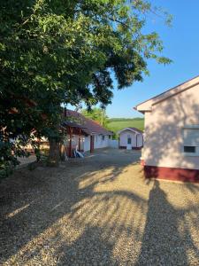 Transylvanian Dreams