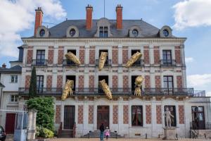 Maisons d'hotes La Porte Rouge - 20kms Zoo Beauval et Chateaux Loire : photos des chambres