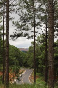 DIỄM MY HOTEL Đà Lạt