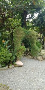 Jungle house and treking