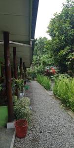 Jungle house and treking