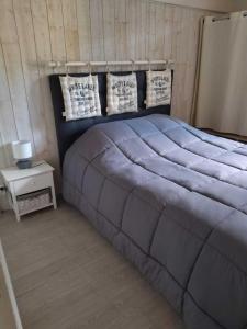Maisons de vacances Location Gite Les Iris : photos des chambres