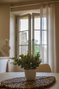 Appartements Gite de la porte des tours : photos des chambres