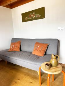 Appartements Le Nid de St Ger- : photos des chambres