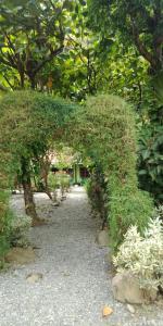 Jungle house and treking