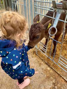 Ferienwohnungen Wendelhof