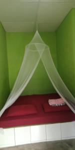 Jungle house and treking