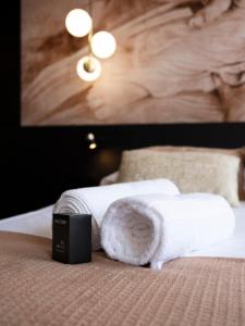 Les perchoirs de Stanislas 2 - logement de standing hyper centre