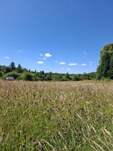 Campings Natuurcamping Guillerin : photos des chambres