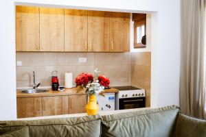 One Bedroom Apartment S