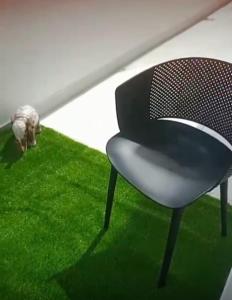 Luxury first floor Apartment Pool kingside suite