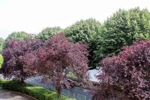 Appartements Nice apartment with balcony and view : photos des chambres