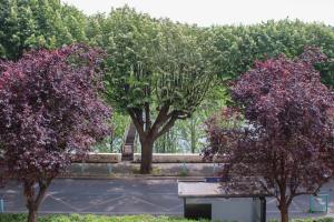 Appartements Nice apartment with balcony and view : photos des chambres