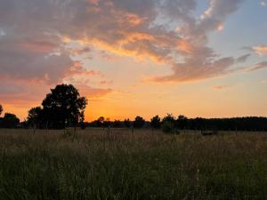 Ferienhaus in ehemaliger Scheune