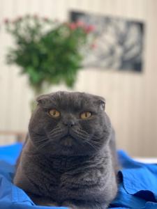 Ludmila guest house - гостевой дом "Людмила"