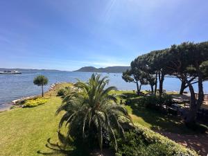 Appartements Les oliviers 11 Appartement, bord de mer, porto-vecchio : photos des chambres