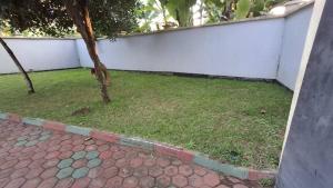 Kilimanjaro Helichrysum Homes