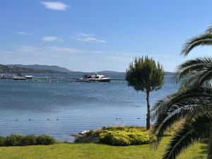 Appartements Les oliviers 11 Appartement, bord de mer, porto-vecchio : photos des chambres