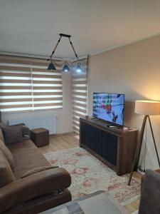 Apartman Banja Koviljaca I