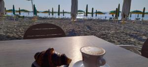 Nettuno143F Ninocia2025