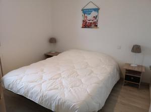 APPARTEMENT T3 PLEIN SUD PROCHE CENTRE Font-Romeu