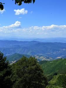 Woodland B65 Residence Hill Kopaonik